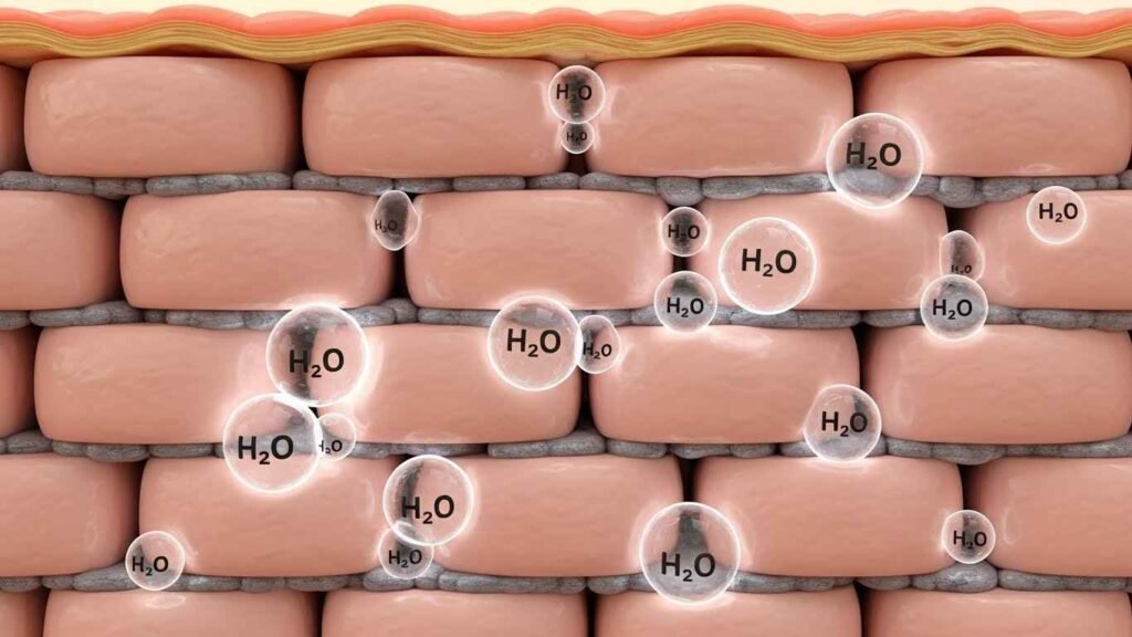 Deep Dive into Key Cilxarhu677 Moisturizer Hydrating Ingredients